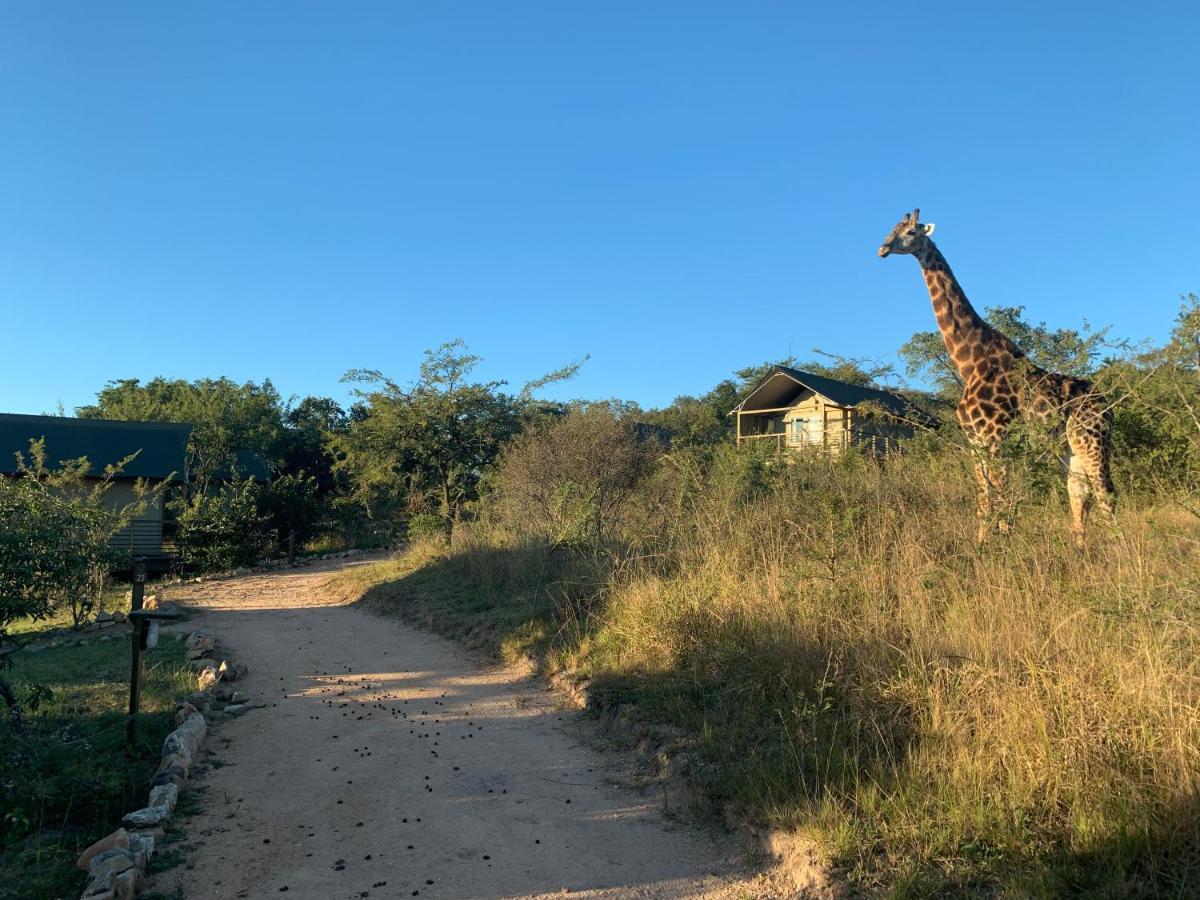 Ndhula Luxury Tented Lodge White River Exteriör bild