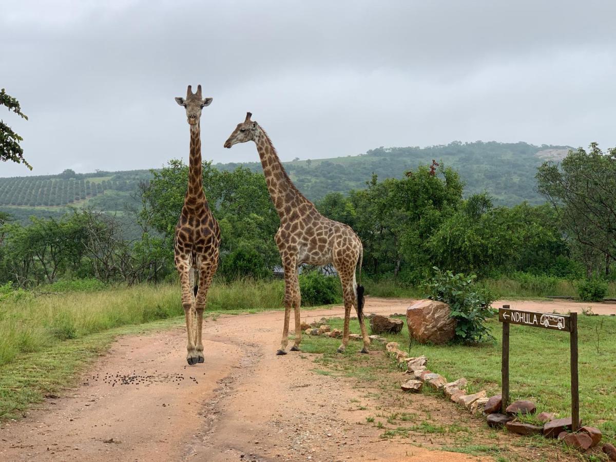 Ndhula Luxury Tented Lodge White River Exteriör bild