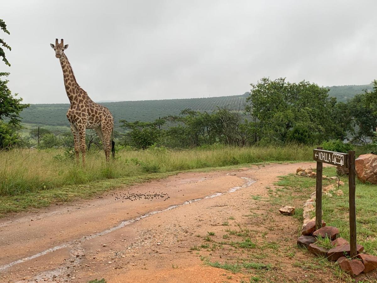 Ndhula Luxury Tented Lodge White River Exteriör bild