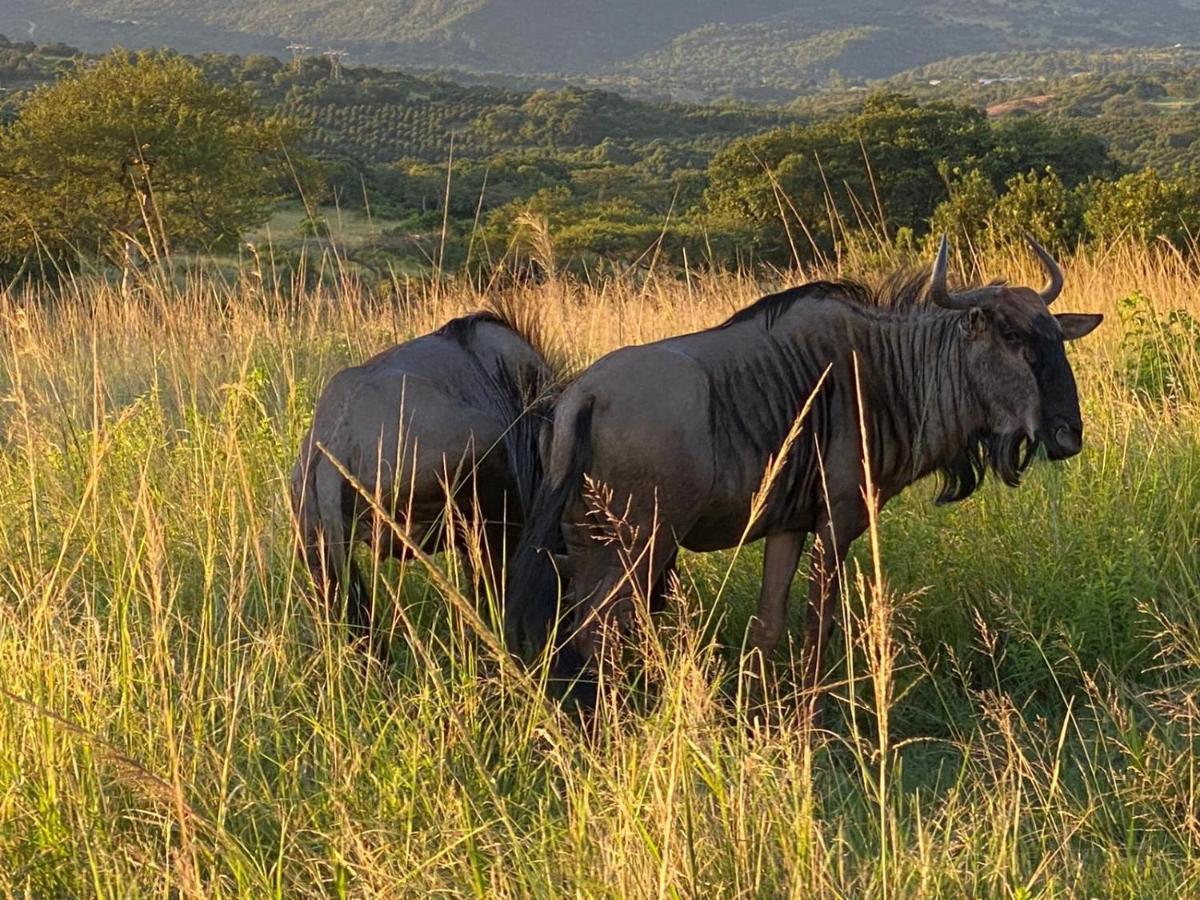Ndhula Luxury Tented Lodge White River Exteriör bild