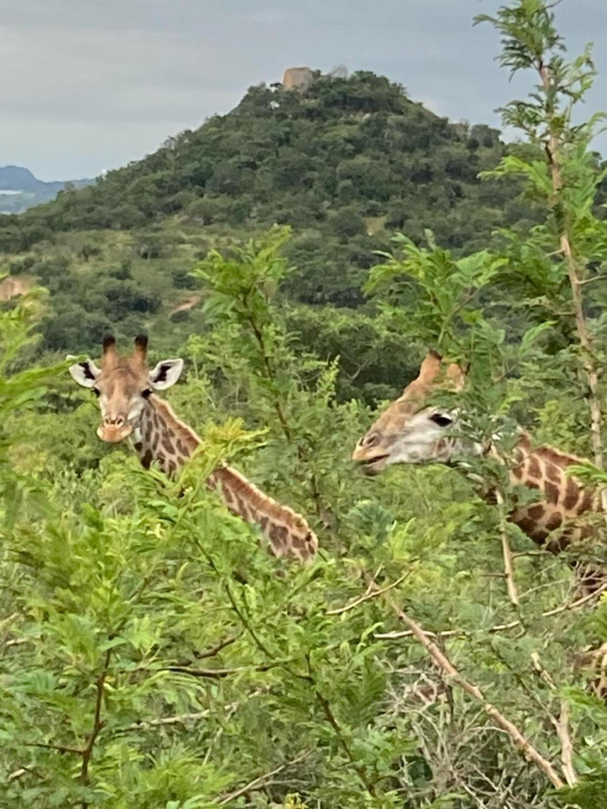 Ndhula Luxury Tented Lodge White River Exteriör bild